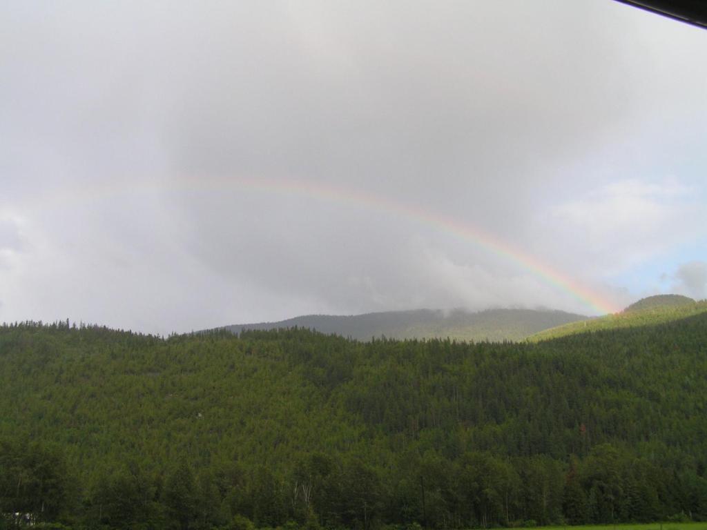 Monashee Motel ซิคามอส ภายนอก รูปภาพ
